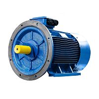 Эл.двигатель 5АИ 280 М4 132/1500 IM 2001