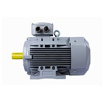 Эл.двигатель ESQ PR 100 LA2-SDN-Б1-S12-IE3 3/3000 IM B3