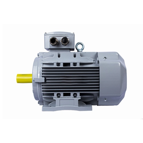 Эл.двигатель ESQ PR 100 LA2-SDN-Б1-S12-IE3 3/3000 IM B3